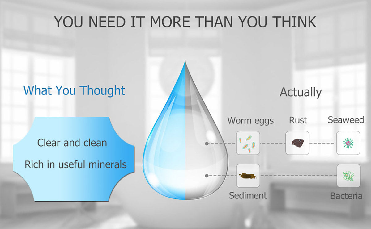 HOMGEN Ionic Filtered High Pressure Universal Shower Head