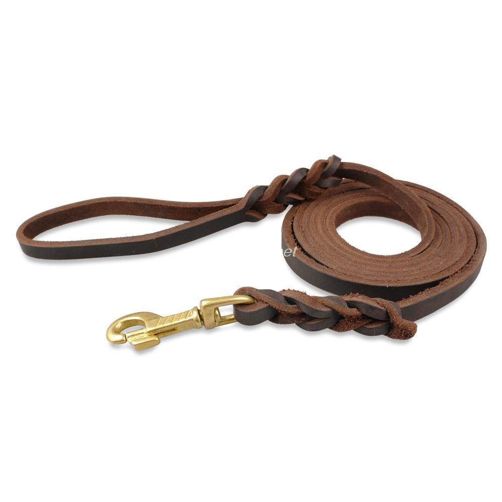 Leather Braided Dog Leash