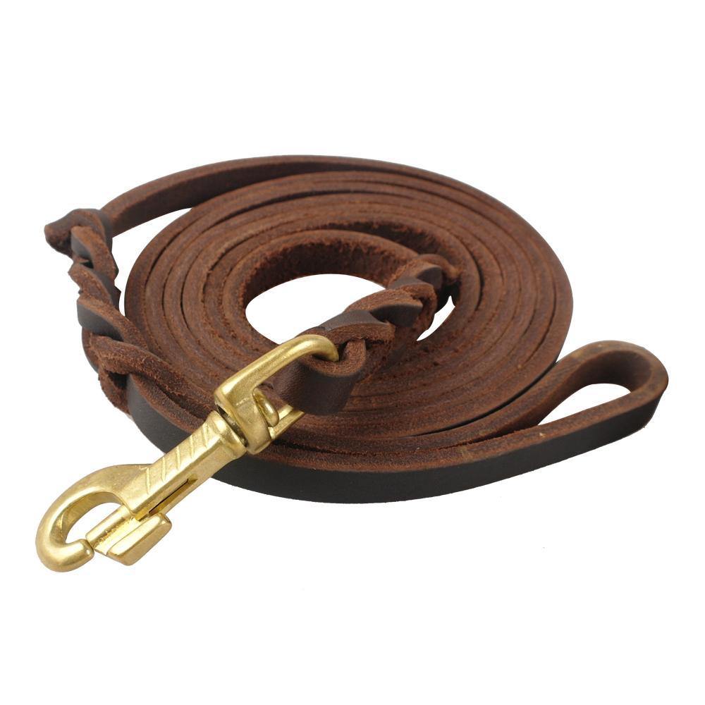 Leather Braided Dog Leash