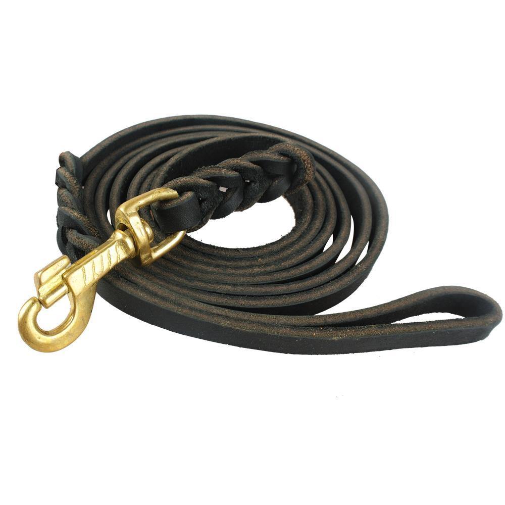 Leather Braided Dog Leash