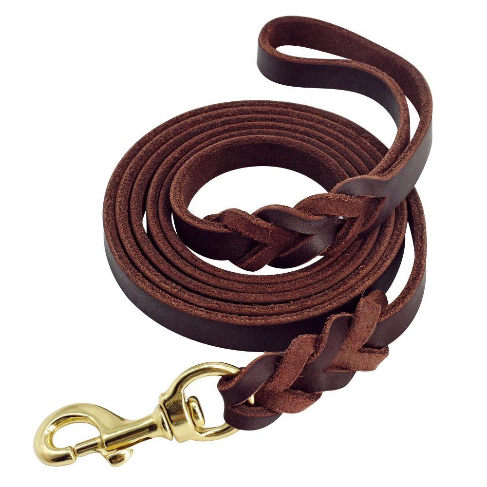 Leather Braided Dog Leash