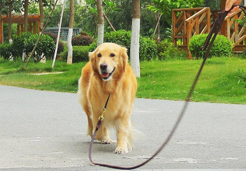 Leather Braided Dog Leash