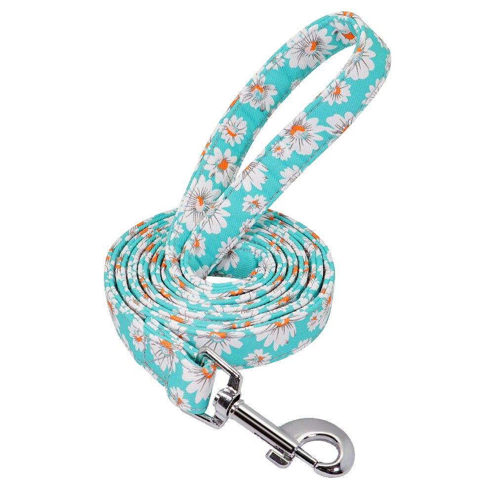 Petsense Leash