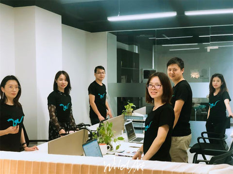 ABOUT US-SHENZHEN WILD ART DECORATION CO.,LTD.
