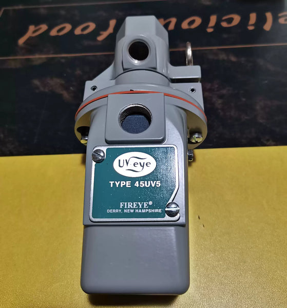 Fireye Flame Detector 45UV5 -1101