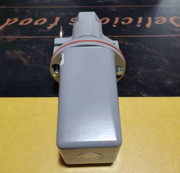 Fireye Flame Detector 45UV5 -1101