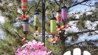 Bob Kit Recycled Bottles Hummingbird Feeder