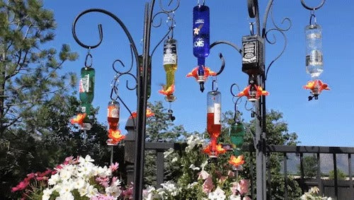 Bob Kit Recycled Bottles Hummingbird Feeder