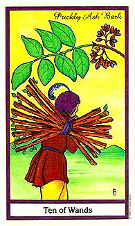 Herbal Tarot Deck