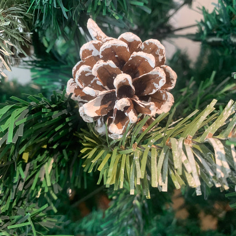 “pine cones covered with salt on a Christmas tree”