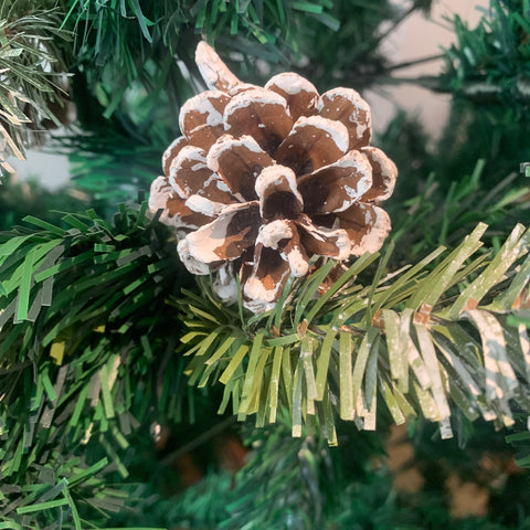 “piñas cubiertas de sal en un árbol de Navidad”