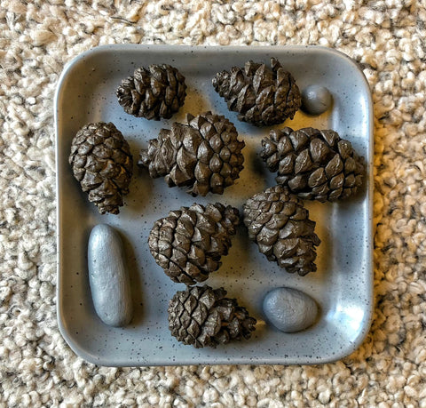 “pine cones in a bowl will looks great on your table”