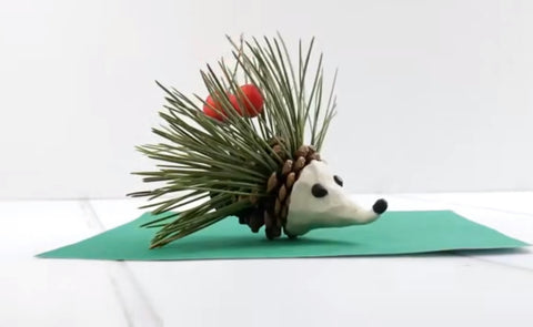 “A pine cone hedgehog”