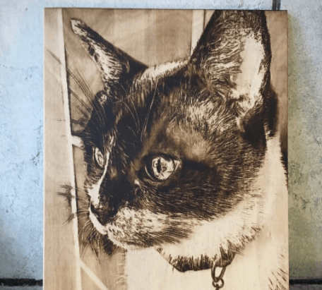 laser engraver image