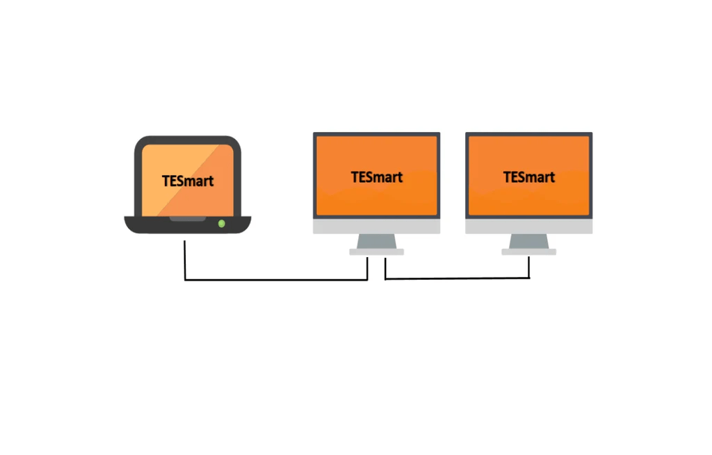 DisplayPort Multi-Stream Transport Mode