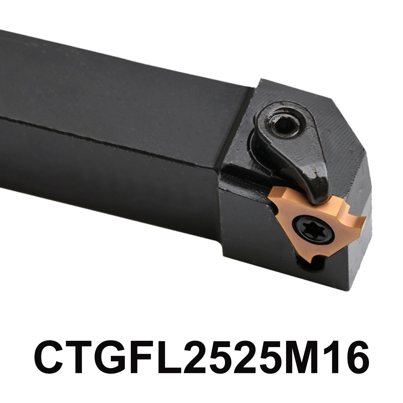 CTGFL2525