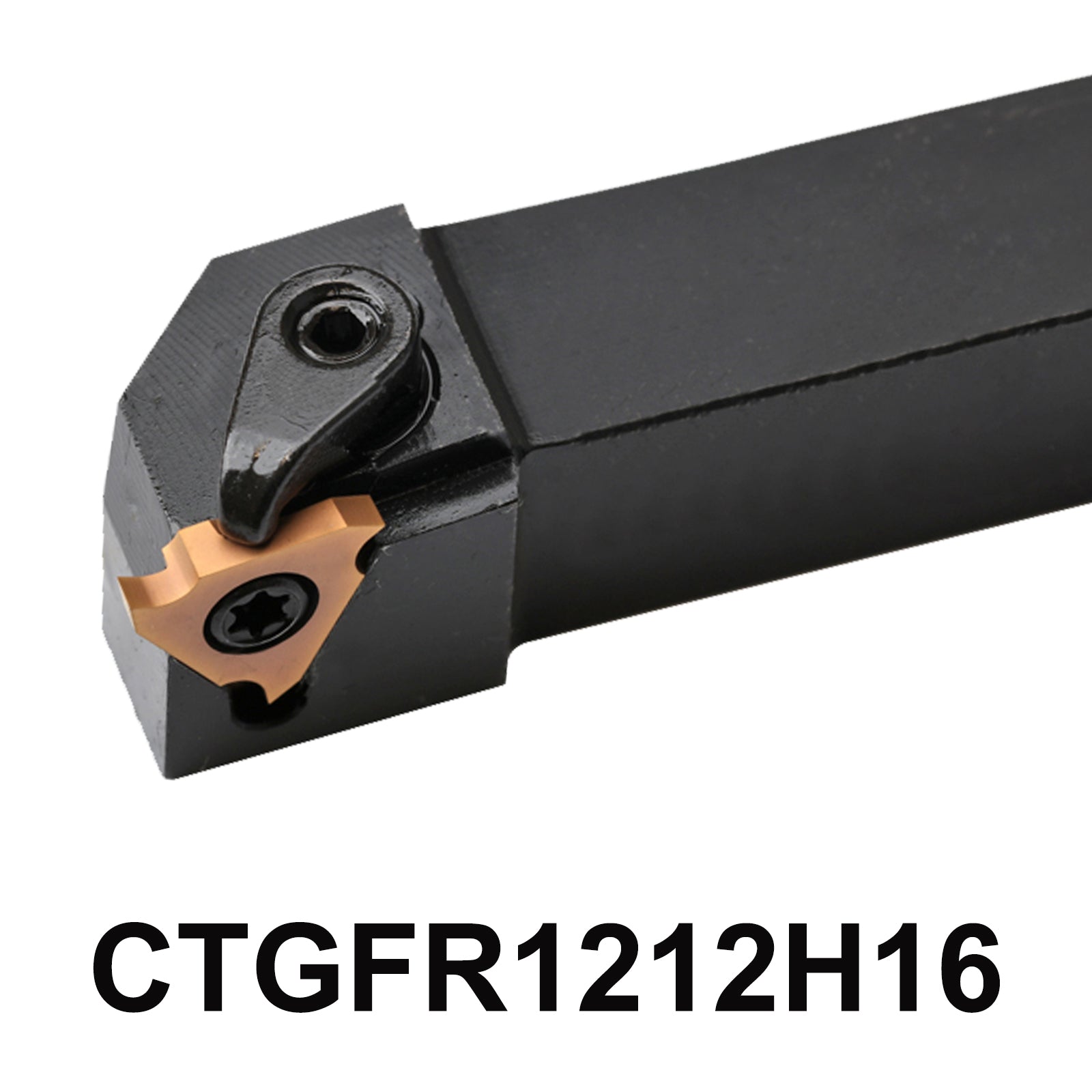 CTGFR1212H16