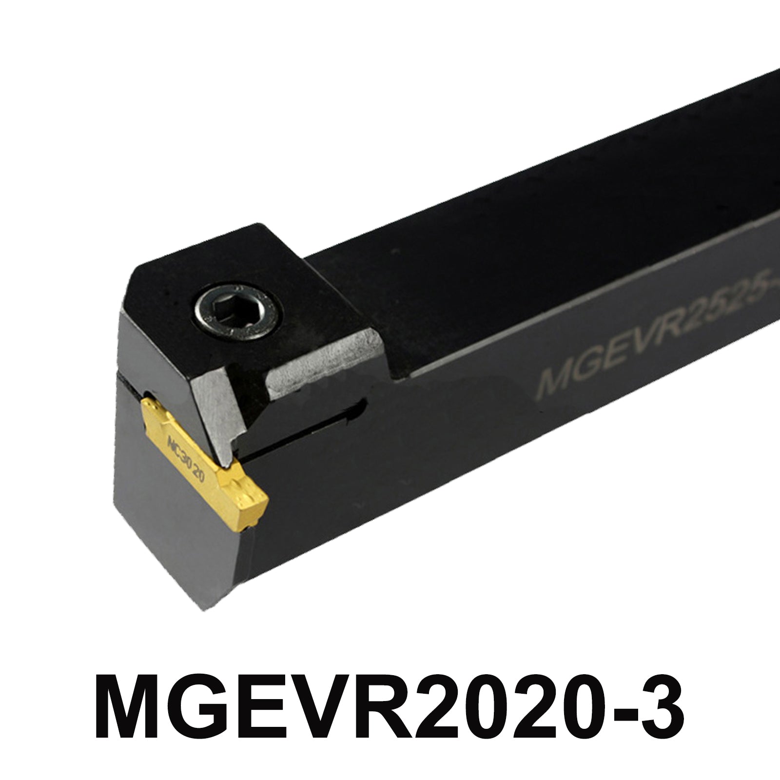 MGEVR2020