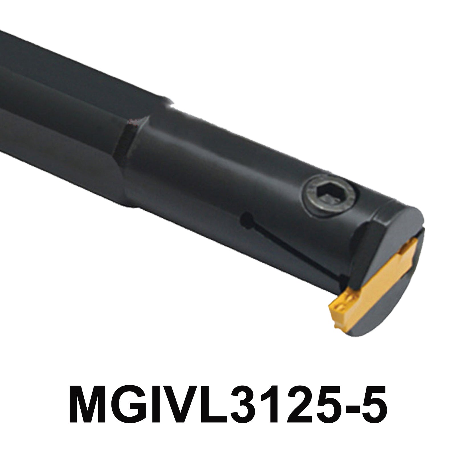 MGIVL3125-5