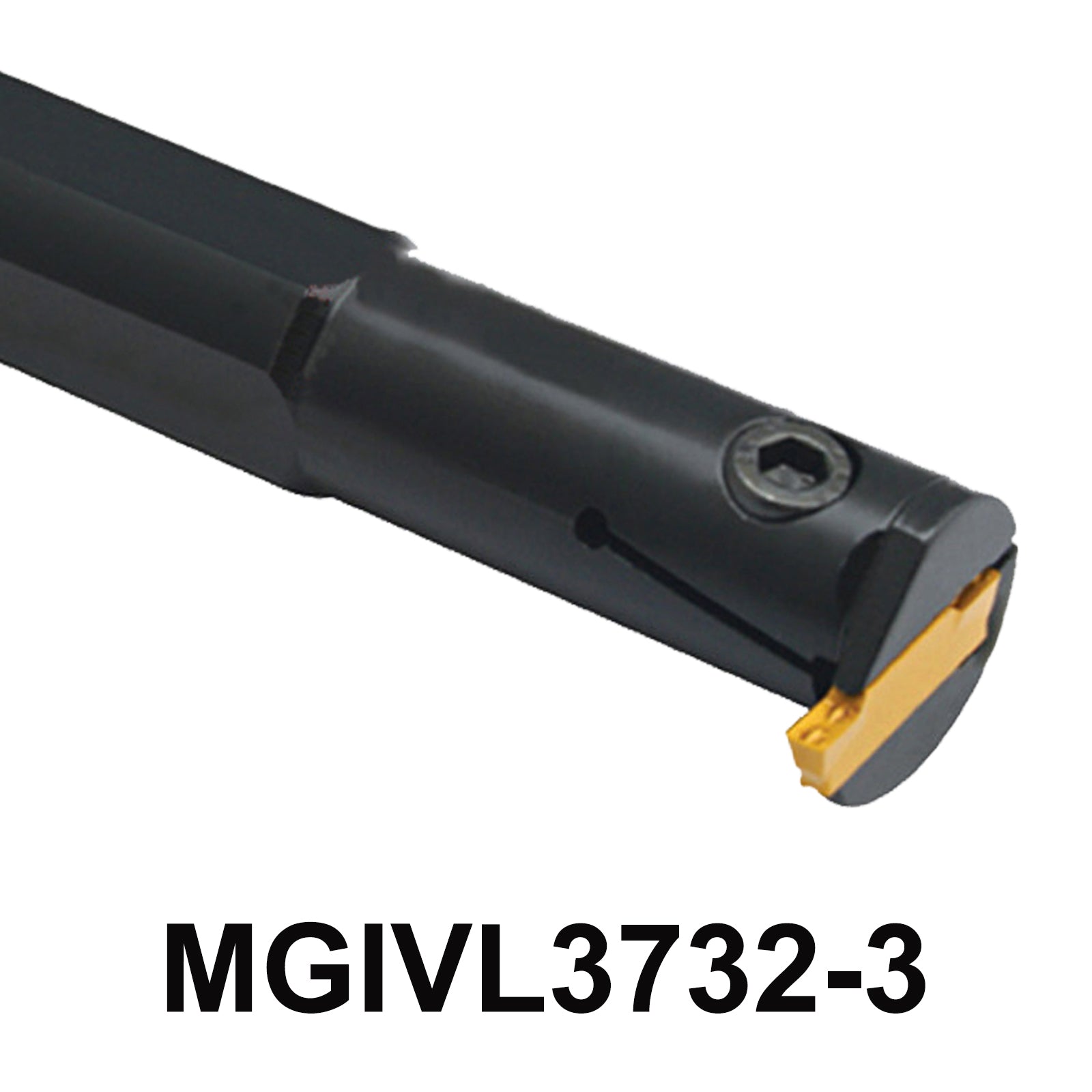 MGIVL3732-3