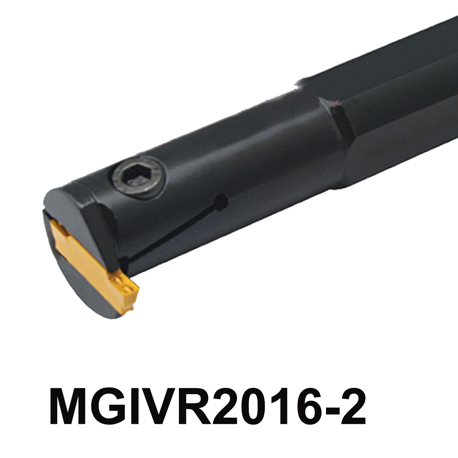 MGIVR2016