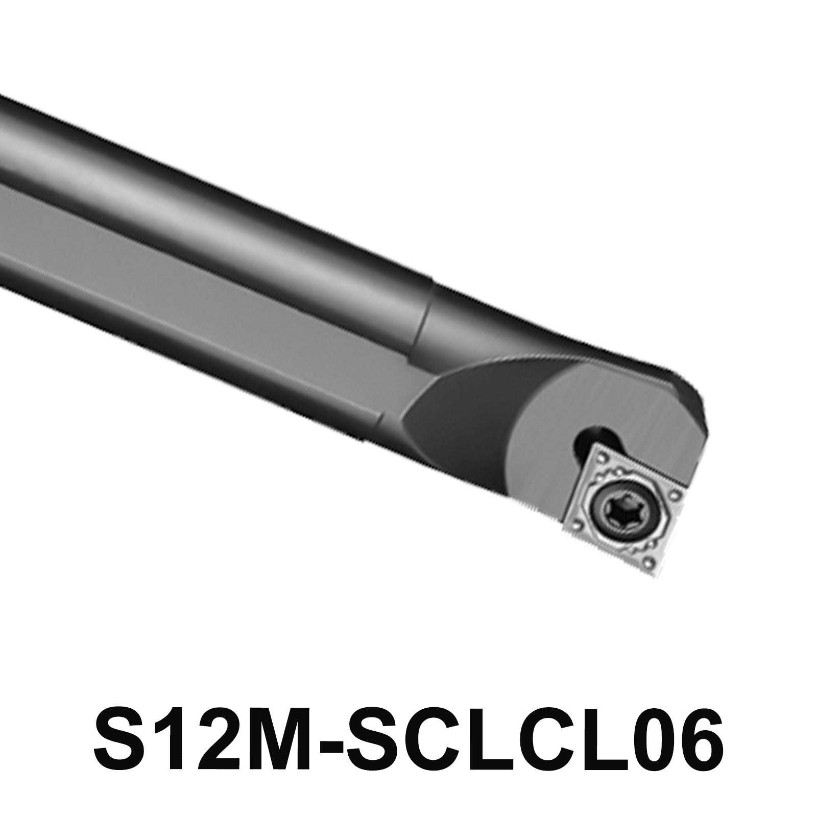 S12M-SCLCL06