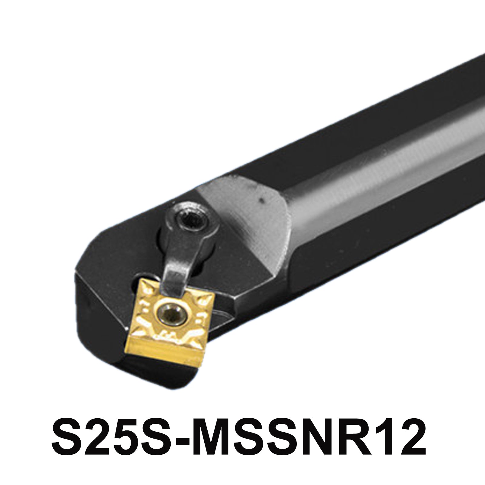 S25S-MSSNR12