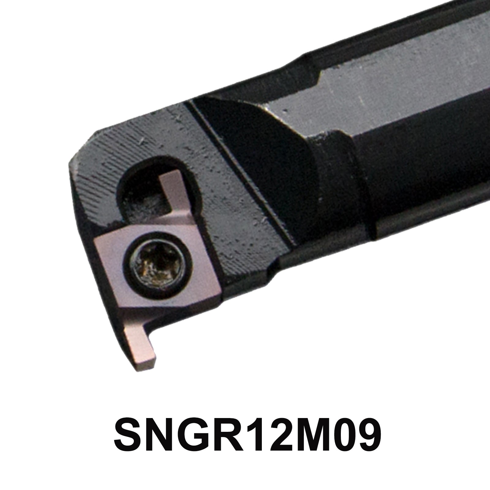 SNGR12M09