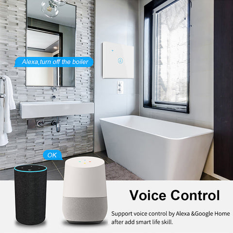 Voice Control