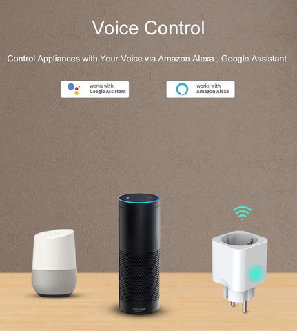 alexa google home assistant voice control