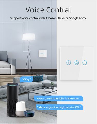 Voice control by Google assistant,Alexa