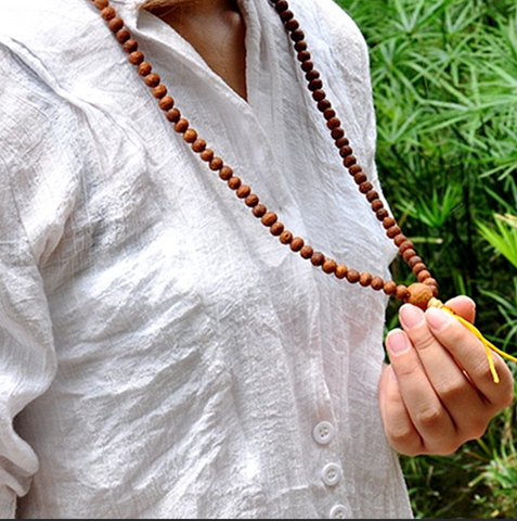 What is Bodhi Seed? The Meaning and How To Use – buddhastoneshop