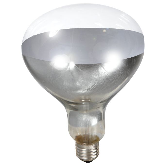 250 Watt Clear Heat Lamp Bulbs