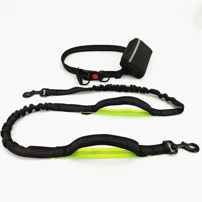 Training Dog Leash - Training Dog to Walk on a Leash