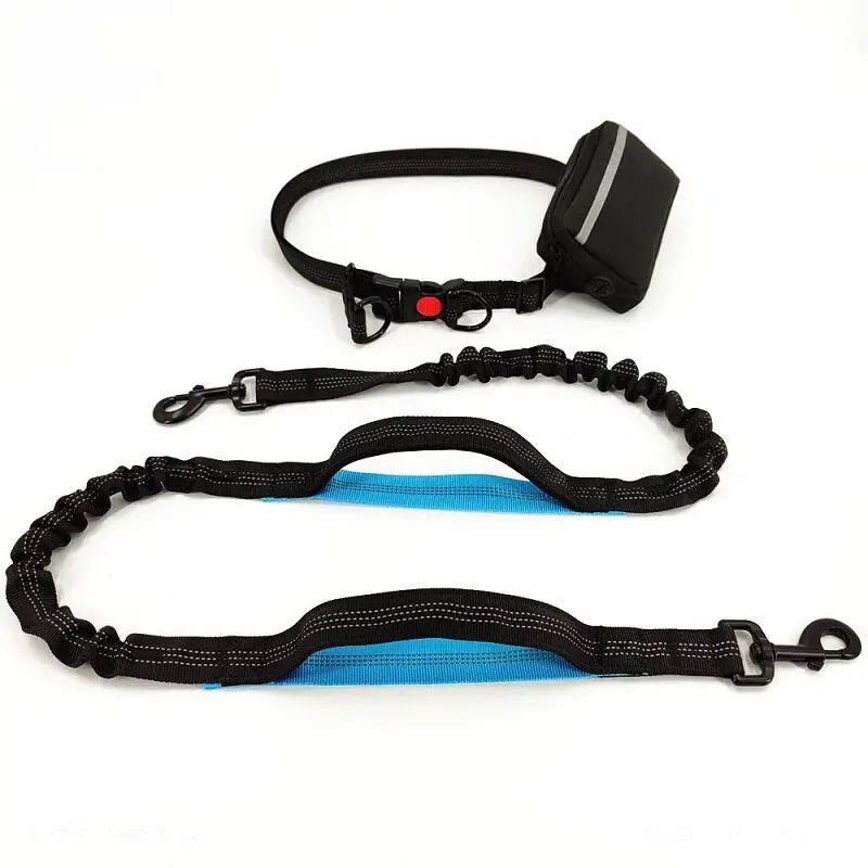 Training Dog Leash - Training Dog to Walk on a Leash