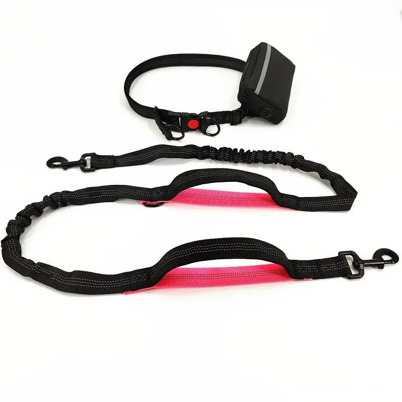 Training Dog Leash - Training Dog to Walk on a Leash