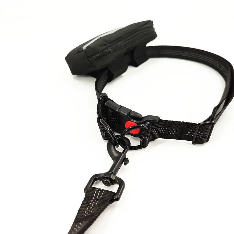 Training Dog Leash - Training Dog to Walk on a Leash