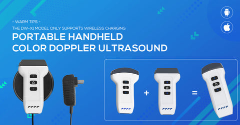 DW-X1 convex linear dual head ultrasound probe