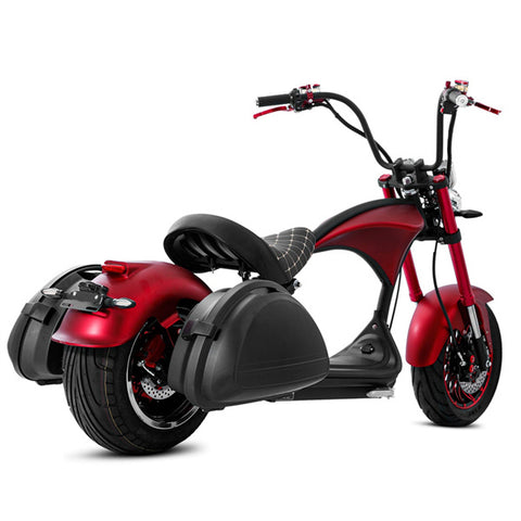 Gaea Citycoco M1P Electric Scooter with Saddlebag