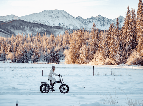 rower elektryczny EDDY