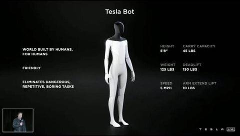 Tesla Robot