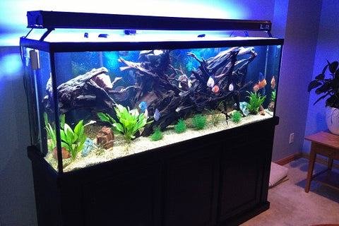 Large tank-150 gallons