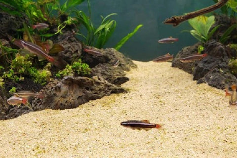 Aquarium sand