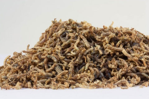 Freeze-dried bloodworm