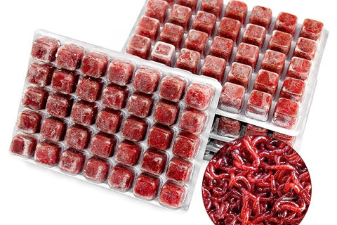 Frozen blood worms