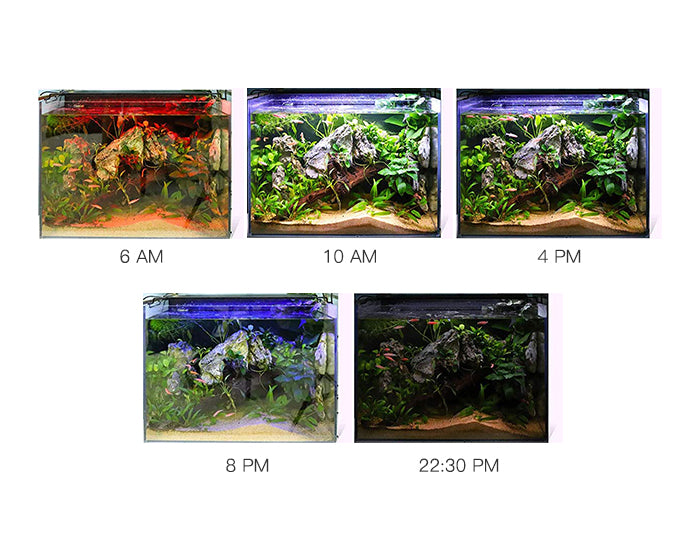 Hygger 978 Aquarium Advanced Full Spectrum Fish Tank LED Light – Petnanny  Store