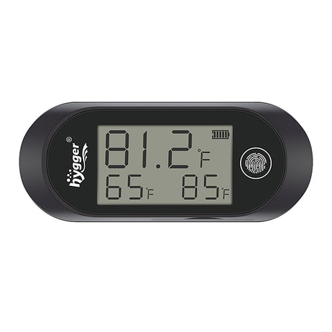 Digital Thermometer