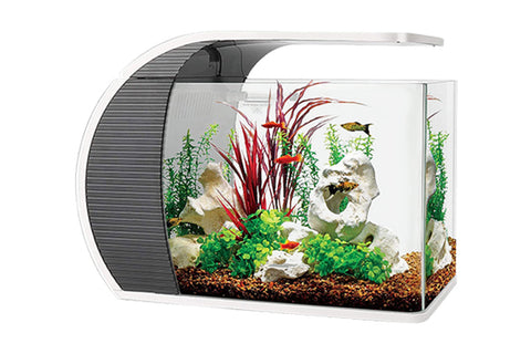 Hygger 5-Gallon Arc-Shaped Aquarium Kit