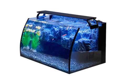 Hygger 8-Gallon Glass Aquarium Kit