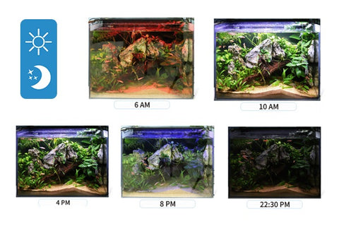 Aquarium light mimics the natural environment